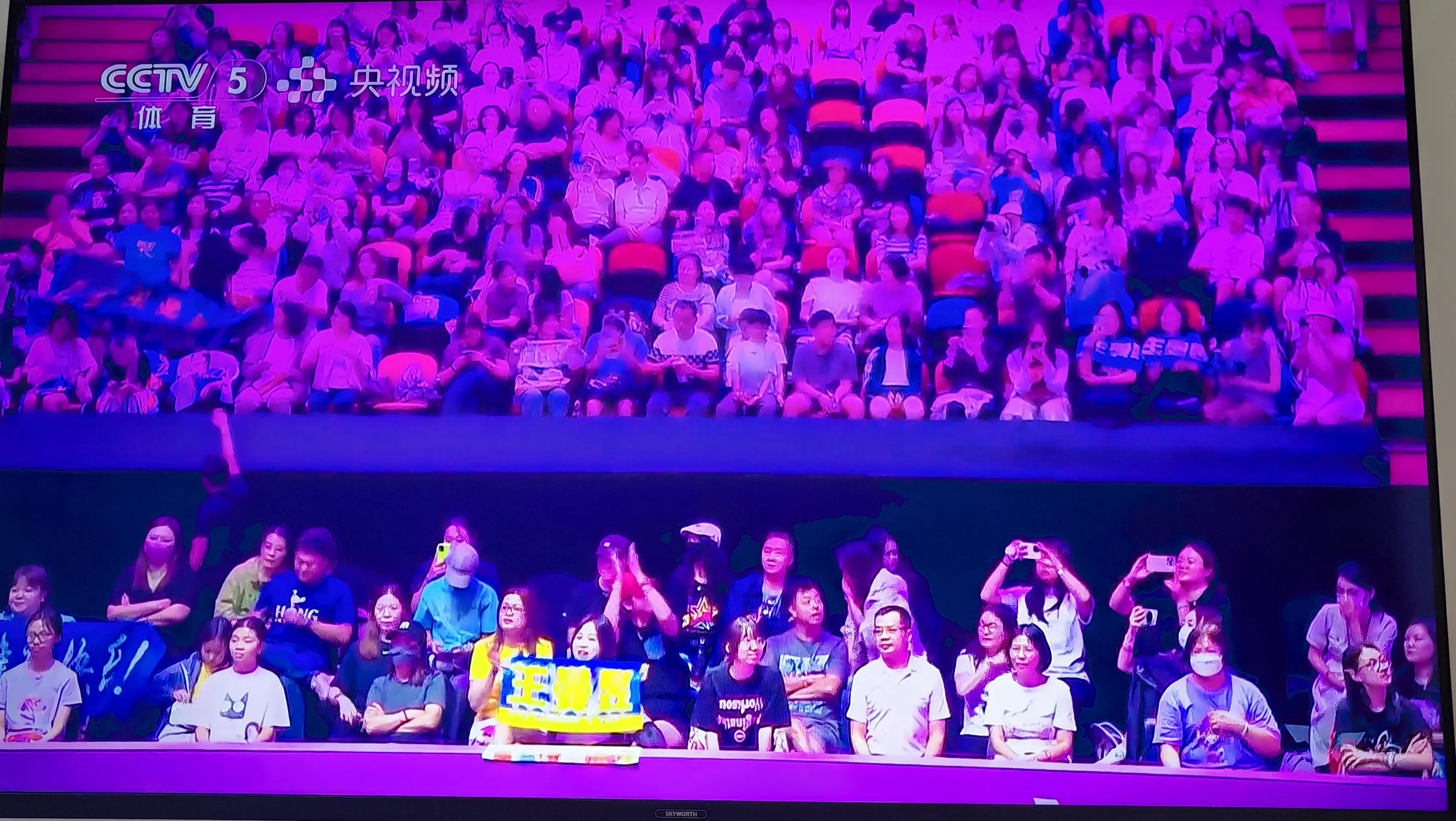 赛的电视机, 对此, 陈幸同